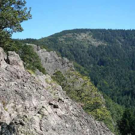 Sylvianne * Ottenhöfen im Schwarzwald